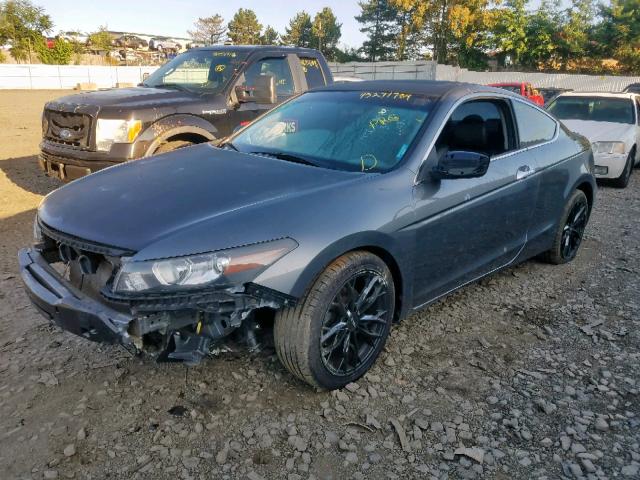 1HGCS2B84AA004006 - 2010 HONDA ACCORD EXL GRAY photo 2