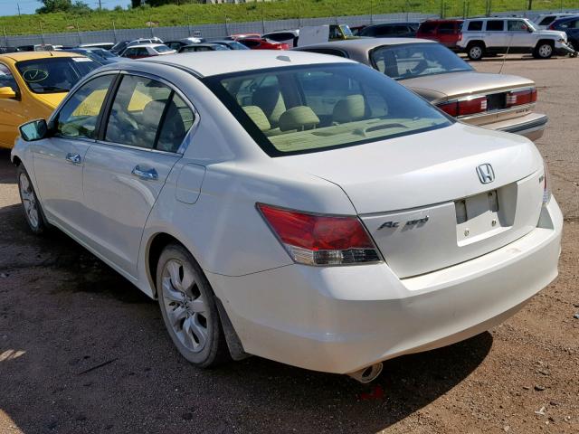 1HGCP36848A020105 - 2008 HONDA ACCORD EXL WHITE photo 3