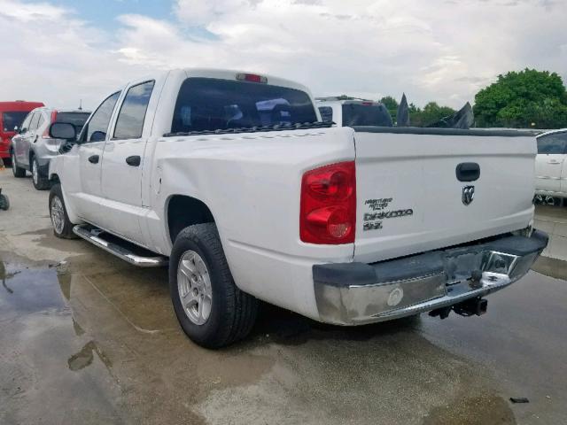 1D7HE48K15S209170 - 2005 DODGE DAKOTA QUA WHITE photo 3