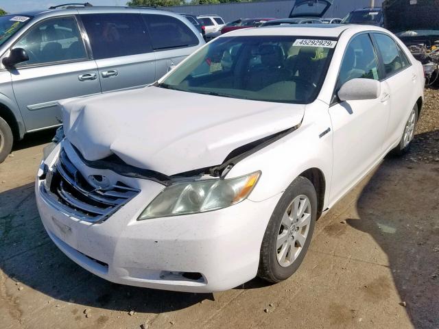 4T1BB46K69U064323 - 2009 TOYOTA CAMRY HYBR WHITE photo 2