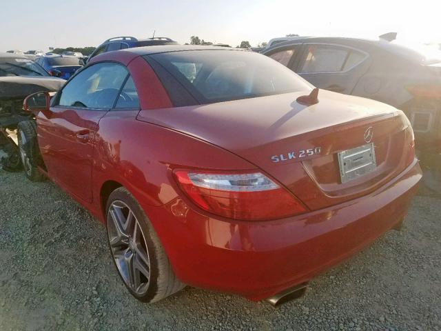 WDDPK4HAXDF068330 - 2013 MERCEDES-BENZ SLK 250 RED photo 3