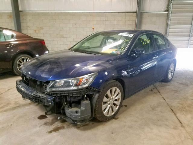 1HGCR2F84EA106174 - 2014 HONDA ACCORD EXL BLUE photo 2