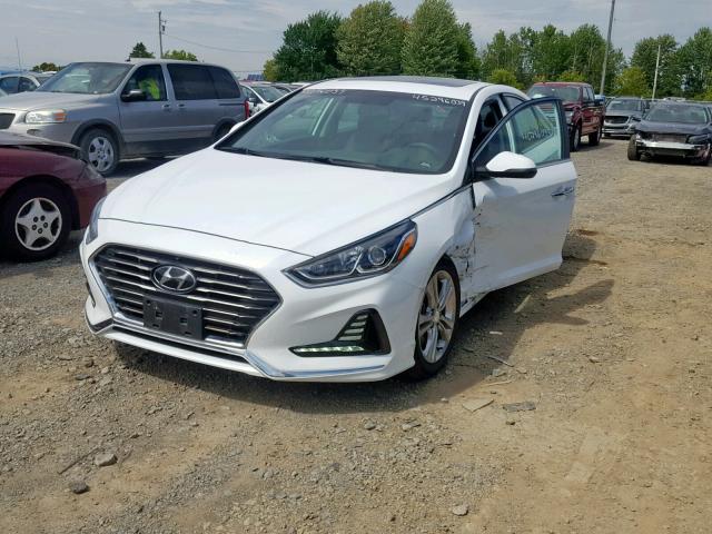 5NPE34AF9JH721090 - 2018 HYUNDAI SONATA SPO WHITE photo 2