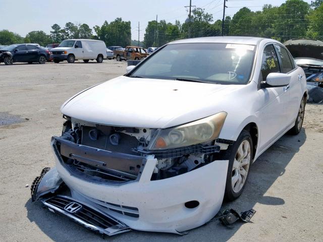 1HGCP36878A068309 - 2008 HONDA ACCORD EXL WHITE photo 2