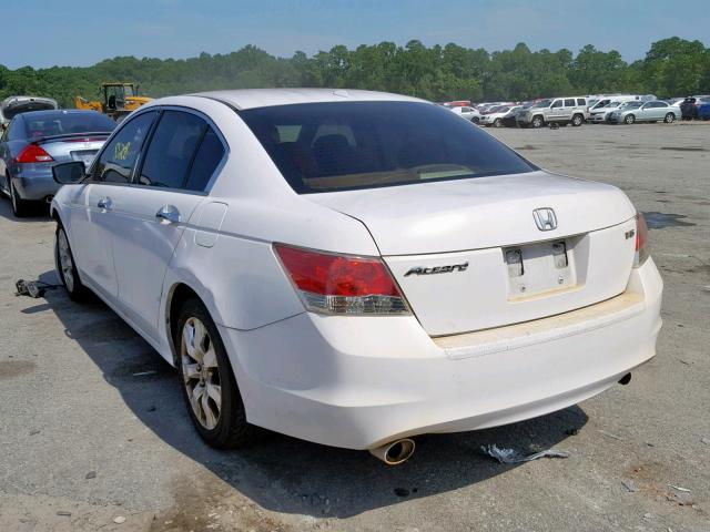 1HGCP36878A068309 - 2008 HONDA ACCORD EXL WHITE photo 3