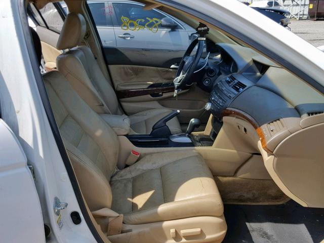 1HGCP36878A068309 - 2008 HONDA ACCORD EXL WHITE photo 5