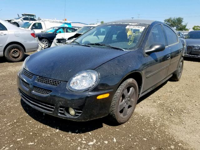 1B3ES76FX3D234939 - 2003 DODGE NEON R/T BLACK photo 2