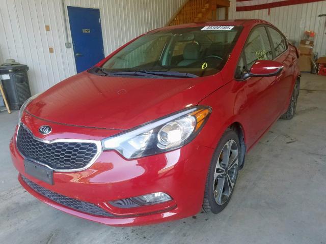 KNAFZ4A83E5195322 - 2014 KIA FORTE EX RED photo 2