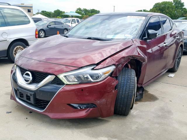 1N4AA6APXGC419052 - 2016 NISSAN MAXIMA 3.5 BURGUNDY photo 2