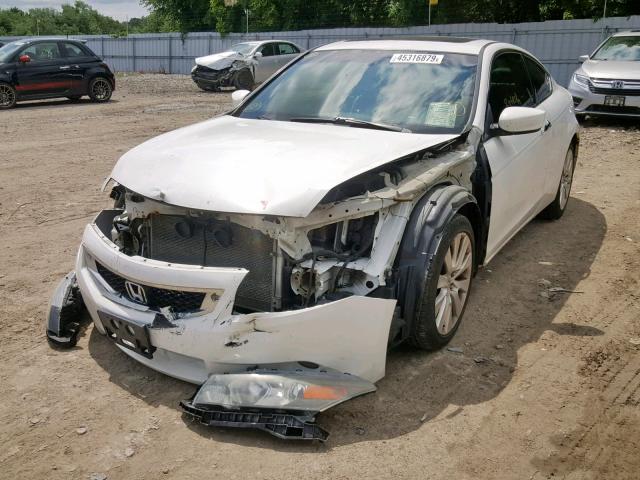 1HGCS22808A801234 - 2008 HONDA ACCORD EXL WHITE photo 2