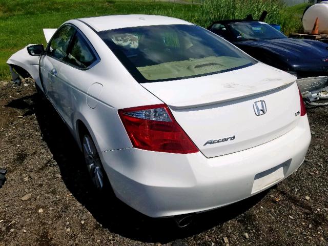 1HGCS22818A016950 - 2008 HONDA ACCORD EXL WHITE photo 3