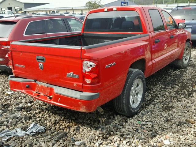 1D7HW38KX8S594000 - 2008 DODGE DAKOTA SXT RED photo 4