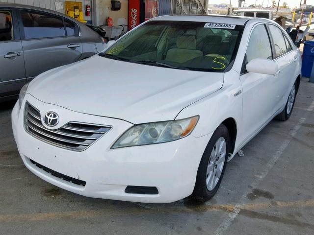 4T1BB46K19U101018 - 2009 TOYOTA CAMRY HYBR WHITE photo 2