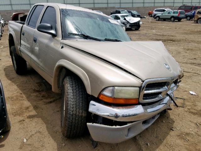 1D7HG48N53S141876 - 2003 DODGE DAKOTA QUA GOLD photo 1