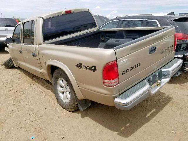 1D7HG48N53S141876 - 2003 DODGE DAKOTA QUA GOLD photo 3