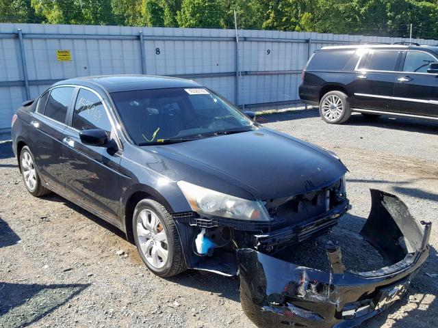 5KBCP3F80AB007946 - 2010 HONDA ACCORD EXL BLACK photo 1