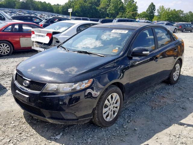 KNAFU4A27A5852501 - 2010 KIA FORTE EX BLACK photo 2