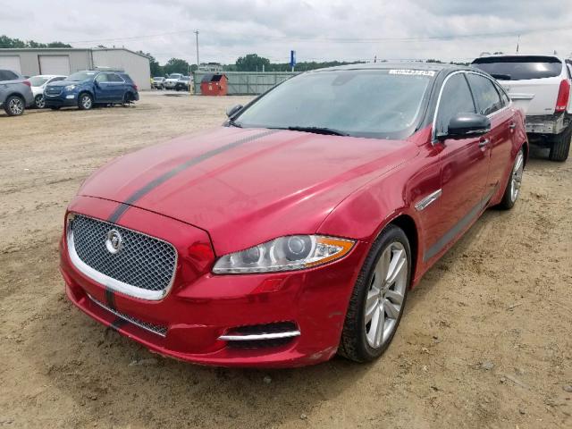 SAJWA2GB6BLV16442 - 2011 JAGUAR XJL RED photo 2