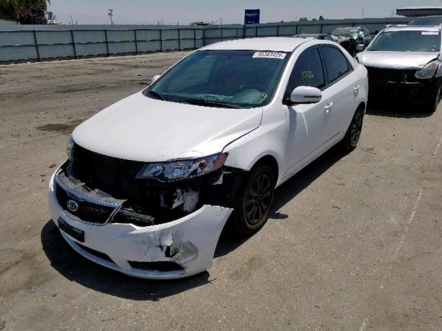 KNAFU4A24C5564261 - 2012 KIA FORTE EX WHITE photo 2