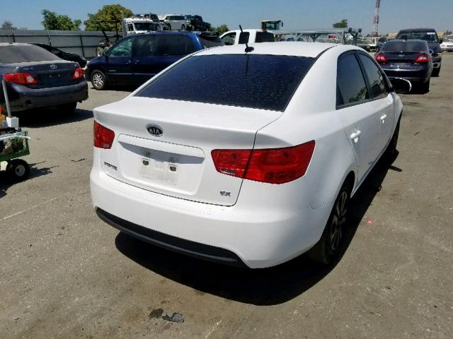 KNAFU4A24C5564261 - 2012 KIA FORTE EX WHITE photo 4