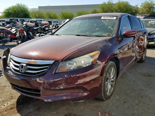 1HGCP2F82CA036564 - 2012 HONDA ACCORD EXL BURGUNDY photo 2