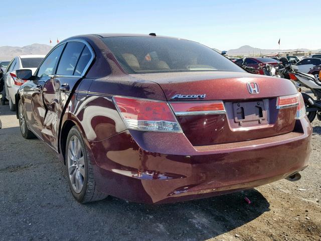 1HGCP2F82CA036564 - 2012 HONDA ACCORD EXL BURGUNDY photo 3