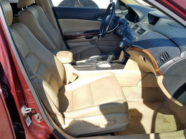 1HGCP2F82CA036564 - 2012 HONDA ACCORD EXL BURGUNDY photo 5