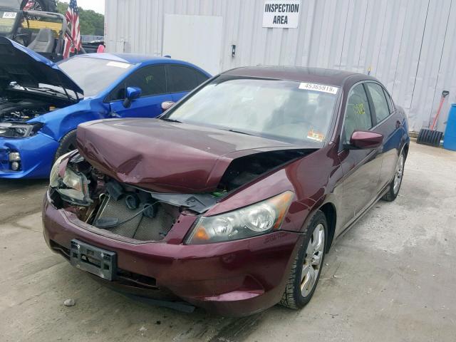 1HGCP26809A000879 - 2009 HONDA ACCORD EXL BURGUNDY photo 2