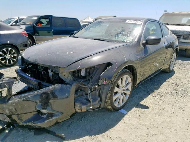 1HGCS22899A004904 - 2009 HONDA ACCORD EXL BLACK photo 2