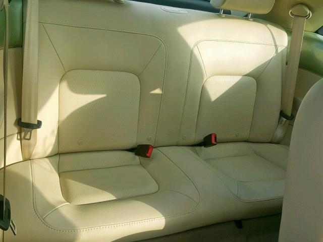 3VWRG31C99M511971 - 2009 VOLKSWAGEN NEW BEETLE Grün Foto 6