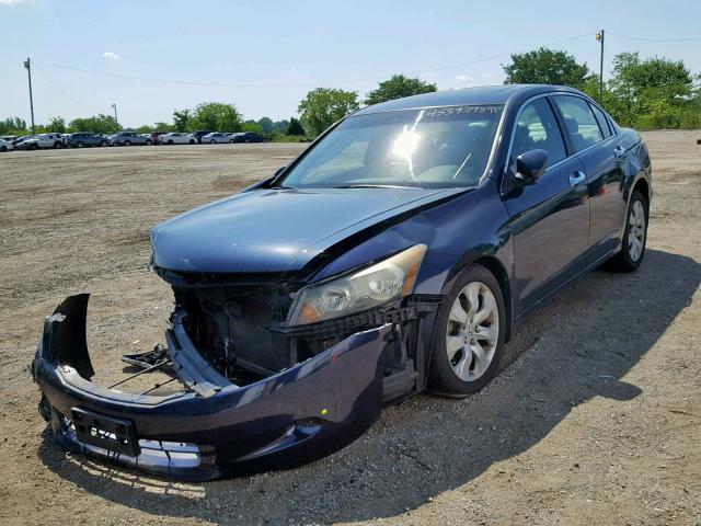 1HGCP36868A087630 - 2008 HONDA ACCORD EXL BLUE photo 2