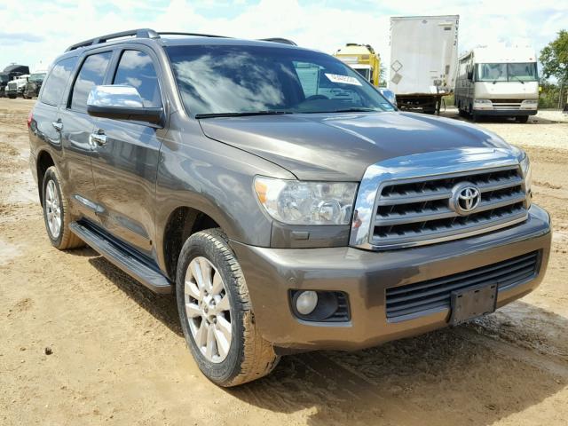 5TDZY67A98S013646 - 2008 TOYOTA SEQUOIA PL BROWN photo 1