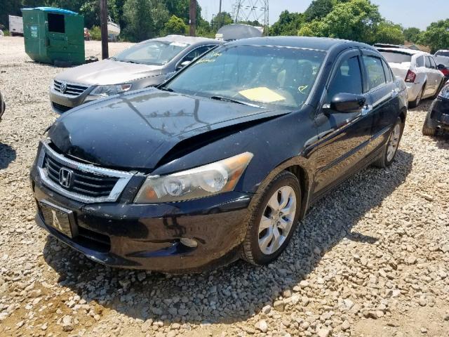 1HGCP36858A046289 - 2008 HONDA ACCORD EXL BLACK photo 2