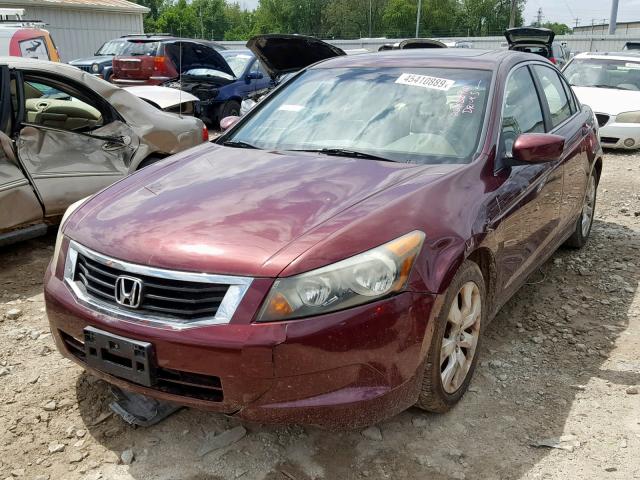 1HGCP26838A054367 - 2008 HONDA ACCORD EXL MAROON photo 2