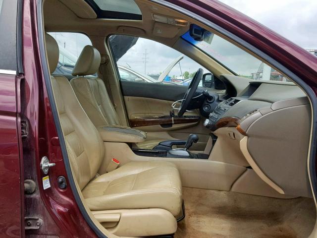 1HGCP26838A054367 - 2008 HONDA ACCORD EXL MAROON photo 5