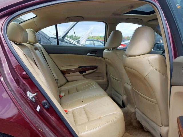 1HGCP26838A054367 - 2008 HONDA ACCORD EXL MAROON photo 6