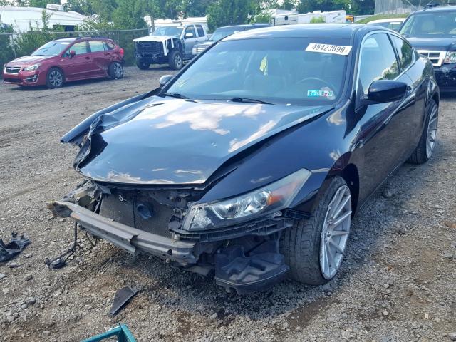 1HGCS12808A024273 - 2008 HONDA ACCORD EXL BLACK photo 2