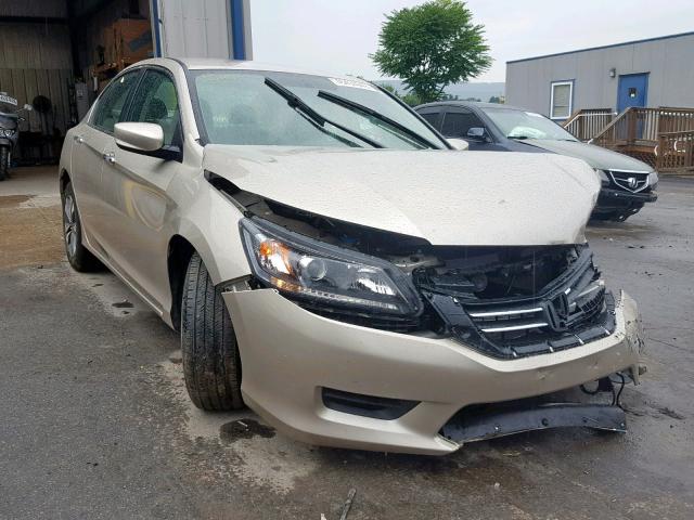 1HGCR2F36EA209150 - 2014 HONDA ACCORD LX GOLD photo 1