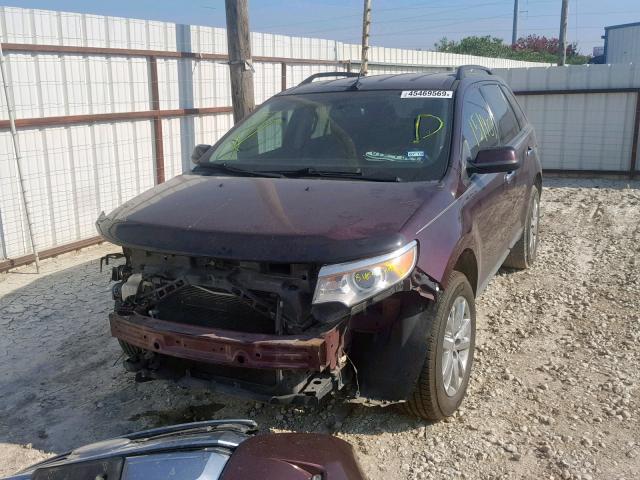 2FMDK3JC1BBB14396 - 2011 FORD EDGE SEL BURGUNDY photo 2