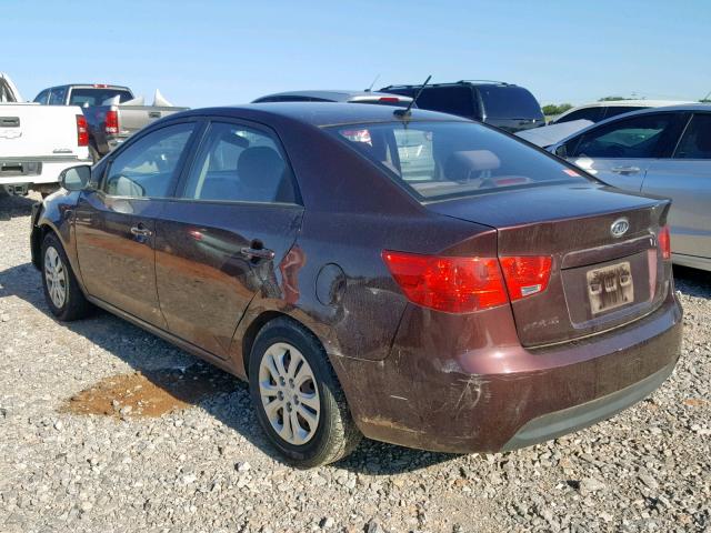 KNAFU4A22A5050213 - 2010 KIA FORTE EX MAROON photo 3