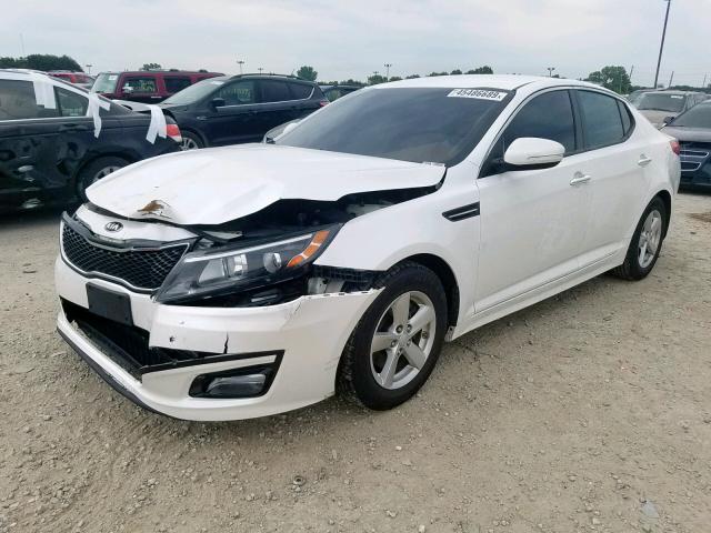 KNAGM4A76F5542508 - 2015 KIA OPTIMA LX WHITE photo 2