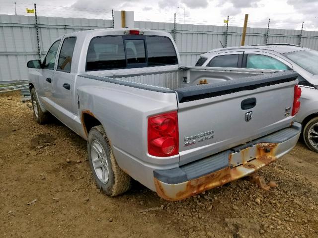 1D7HW48N58S504879 - 2008 DODGE DAKOTA QUA SILVER photo 3