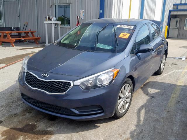 KNAFX4A67G5437634 - 2016 KIA FORTE LX BLACK photo 2