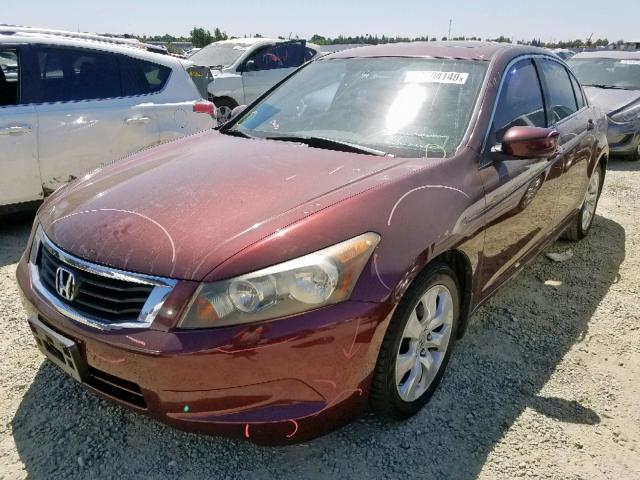 JHMCP26889C011727 - 2009 HONDA ACCORD EXL BURGUNDY photo 2