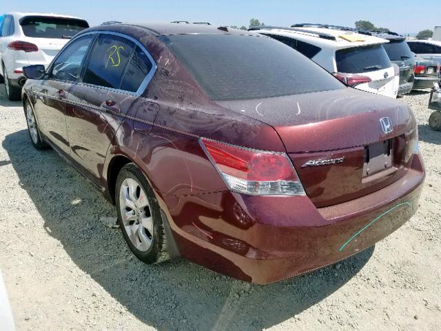 JHMCP26889C011727 - 2009 HONDA ACCORD EXL BURGUNDY photo 3