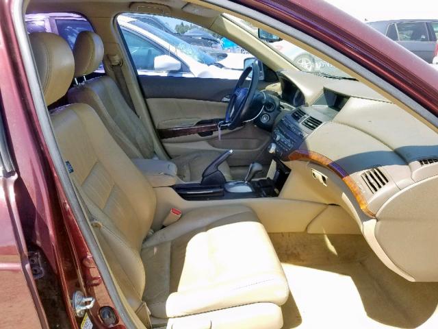 JHMCP26889C011727 - 2009 HONDA ACCORD EXL BURGUNDY photo 5