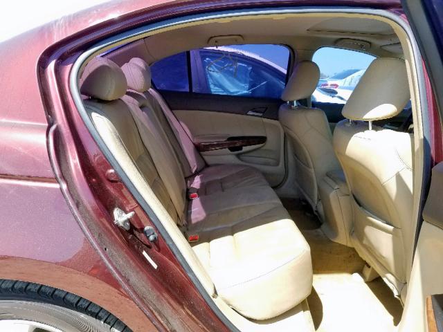 JHMCP26889C011727 - 2009 HONDA ACCORD EXL BURGUNDY photo 6