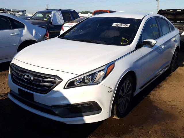 5NPE34AF2FH033956 - 2015 HYUNDAI SONATA SPO WHITE photo 2