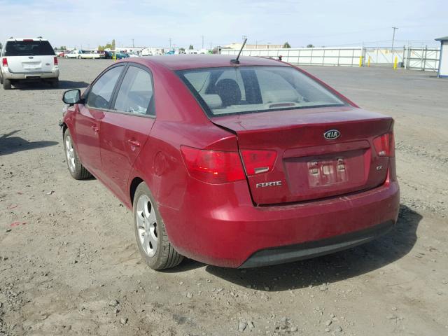 KNAFU4A24A5052691 - 2010 KIA FORTE EX BURGUNDY photo 3