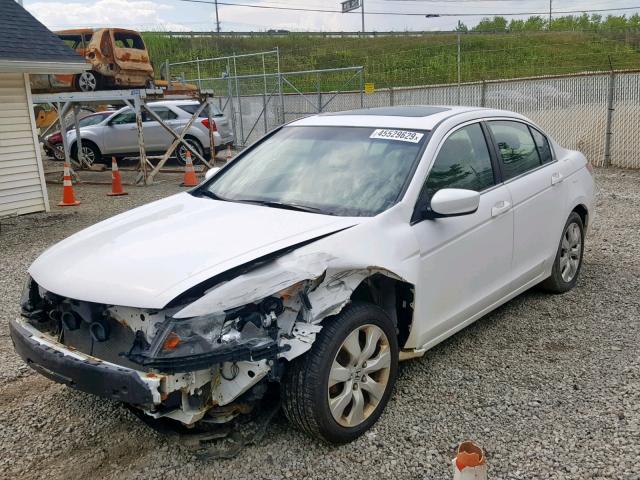 1HGCP2F87AA184464 - 2010 HONDA ACCORD EXL WHITE photo 2